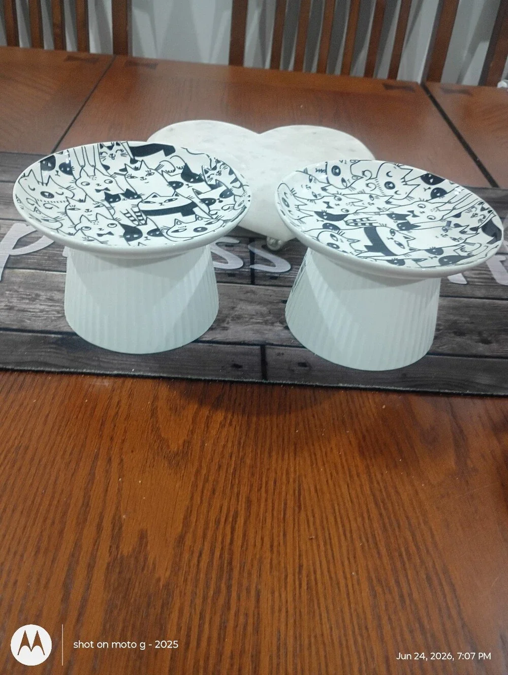 2 Signature Elevated Bowl Cat Design New